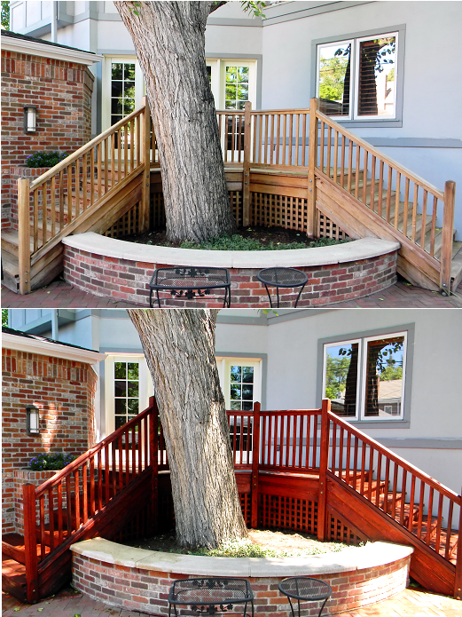 Before and after railing and deck staining around a large tree