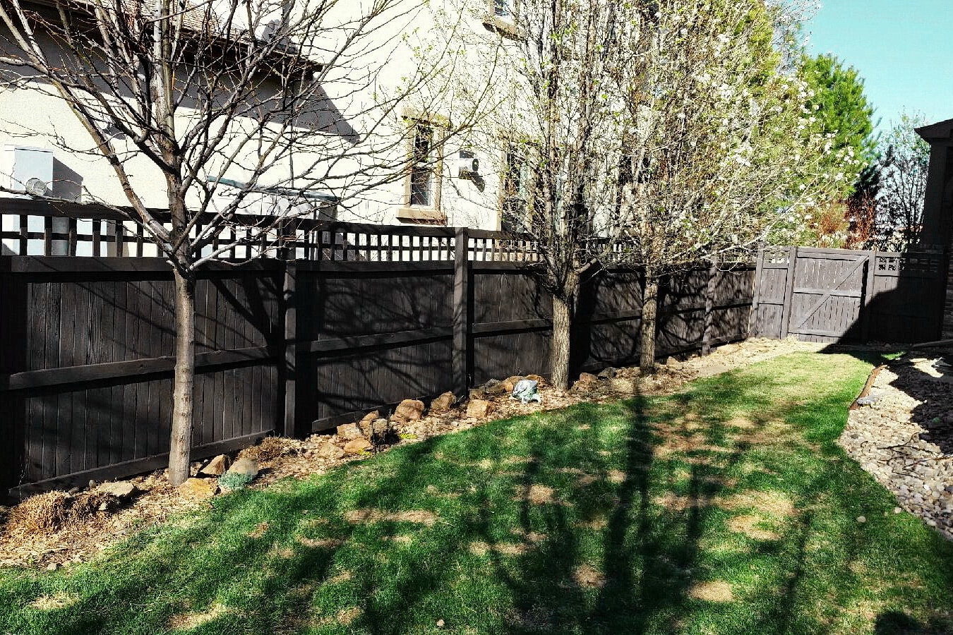 Dark stained privacy fence with lattice top and gate